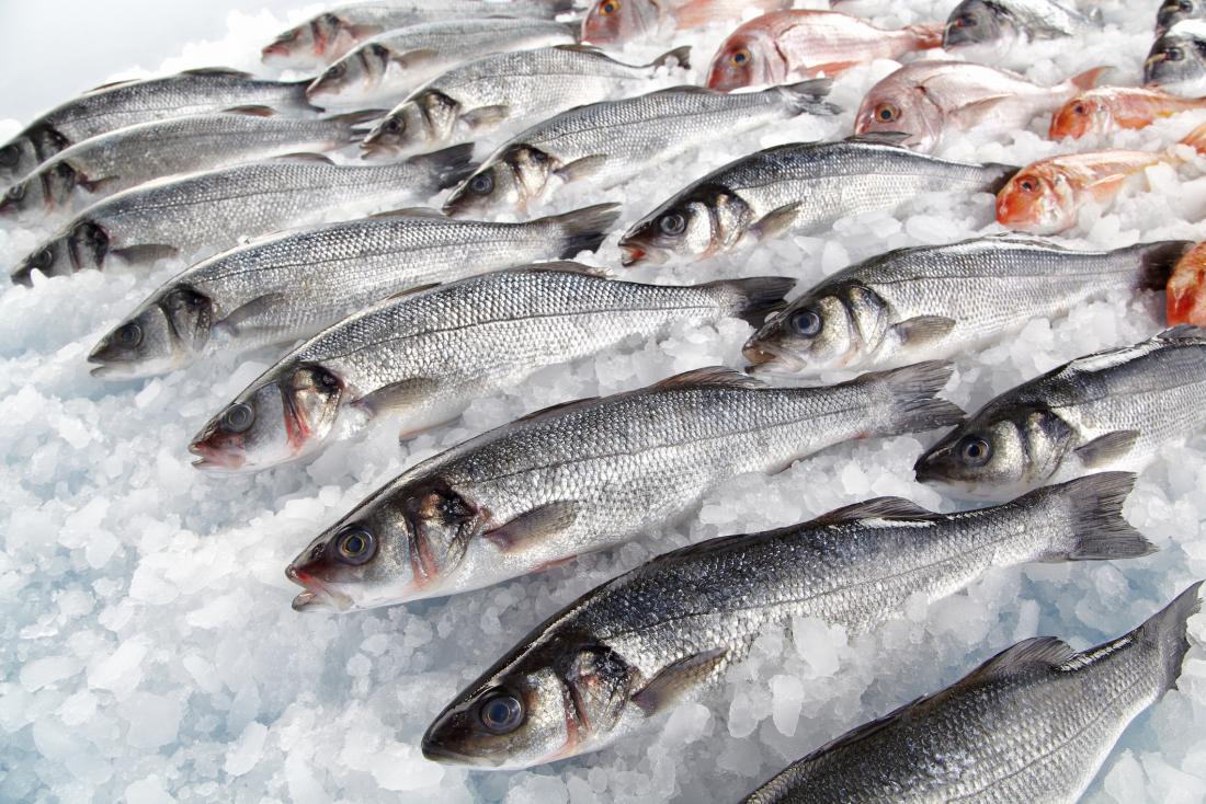 Fish}