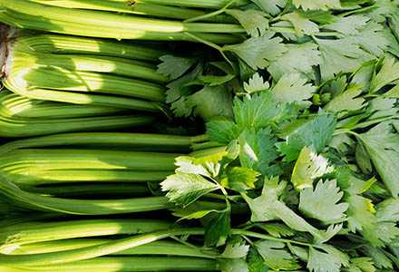 Stems}
