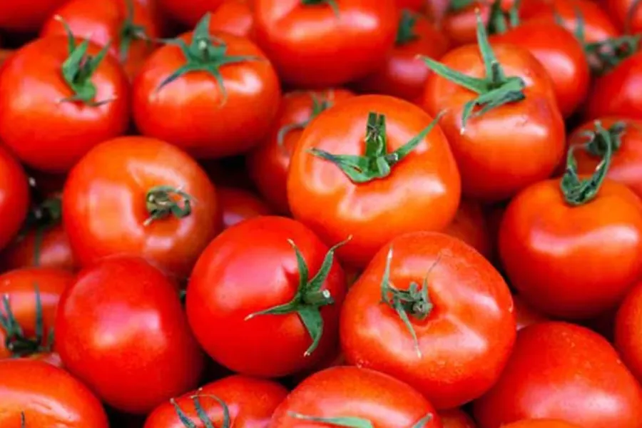 Local tomatoes
